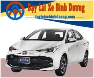 dạy lái xe bình dương