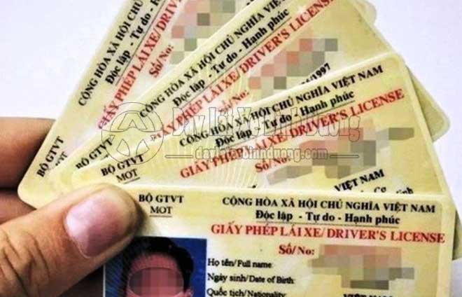 Học Nâng Hạng Giấy Phép Lái Xe B, C1, C, D1, D2