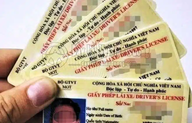 Độ Tuổi Học Nâng Hạng Giấy Phép Lái Xe Độ Tuổi Học Nâng Hạng Giấy Phép Lái Xe