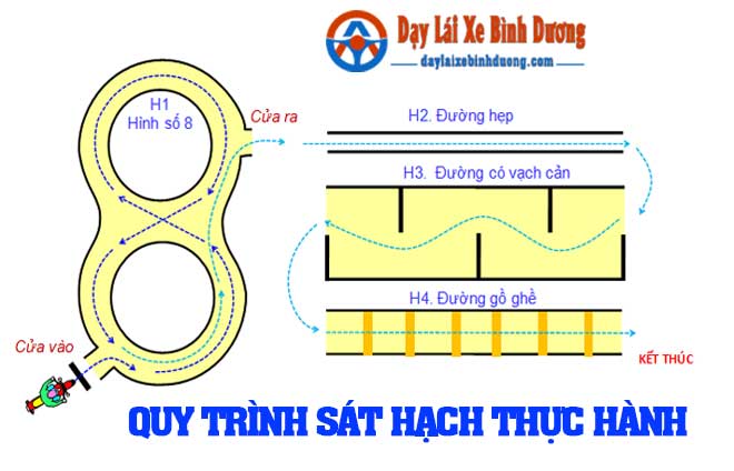 Kinh Nghiệm Học Và Thi Lý Thuyết Bằng Lái Xe A1 2025