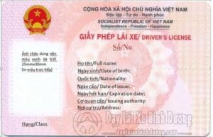 Cập nhật mẫu giấy phép lái xe mới áp dụng từ 1/3/2025. Tìm hiểu thay đổi về thiết kế, tính năng bảo mật và cách thức chuyển đổi tại Dạy Lái Xe Bình Dương.